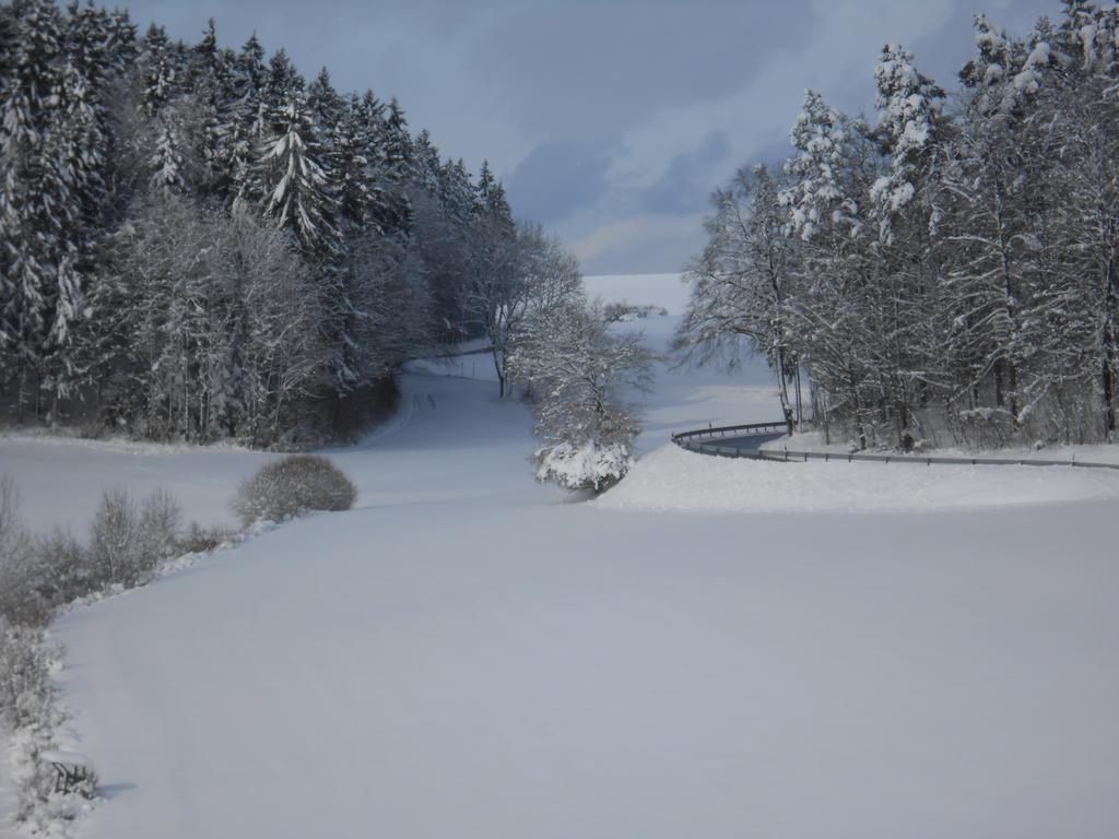 Landgasthof Schutzen Hotel Tengen ภายนอก รูปภาพ