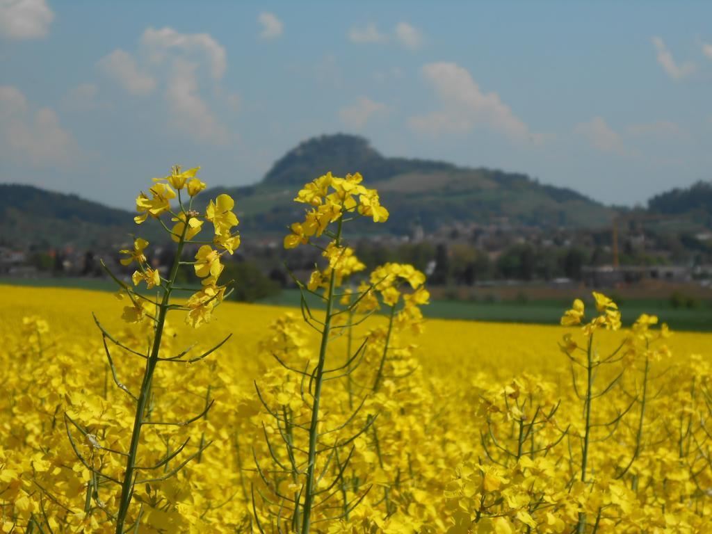 Landgasthof Schutzen Hotel Tengen ภายนอก รูปภาพ